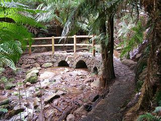 Warburton Valley / Yarra Valley Tourism Info - 16 years old in 2025